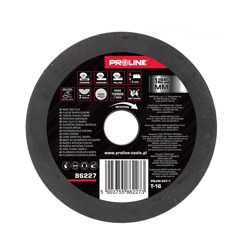 Disc Raspel Plat / Fin - 125MM