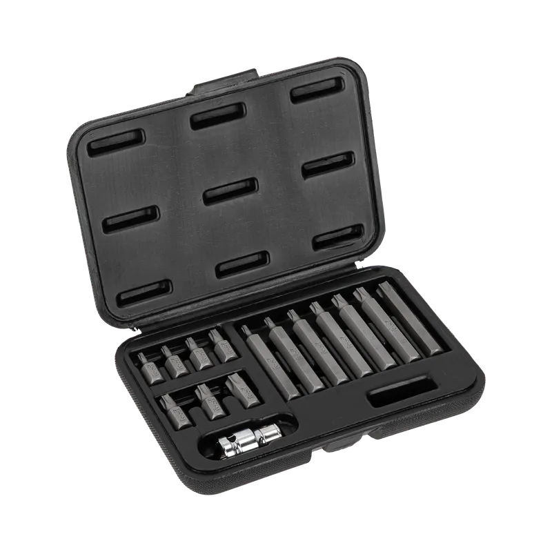 Set Varfuri Torx cu Orificiu CR-VA S2 - 15P.