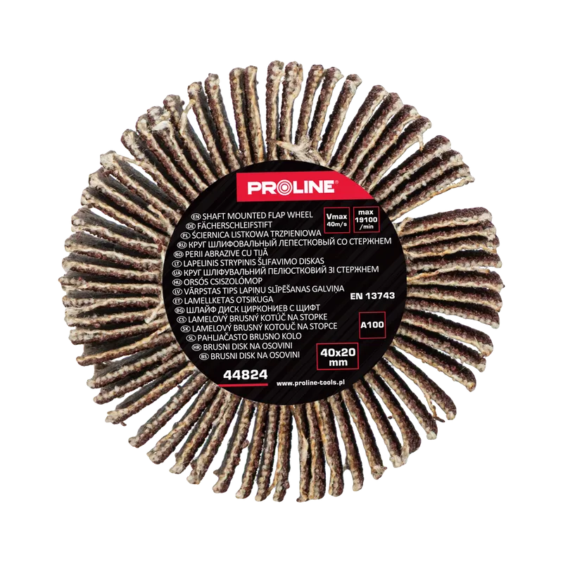 Perie Abraziva Lamelara 40X20MM - GR.100