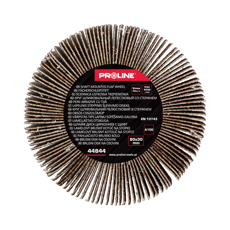 Perie Abraziva Lamelara 80X30MM - GR.100