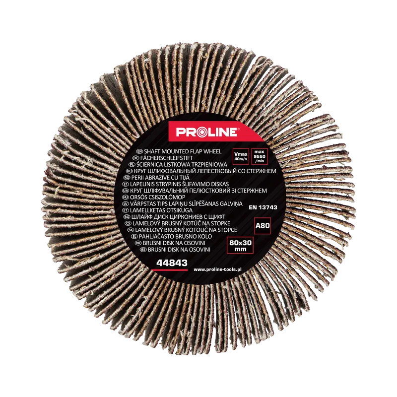 Perie Abraziva Lamelara 80X30MM - GR.120