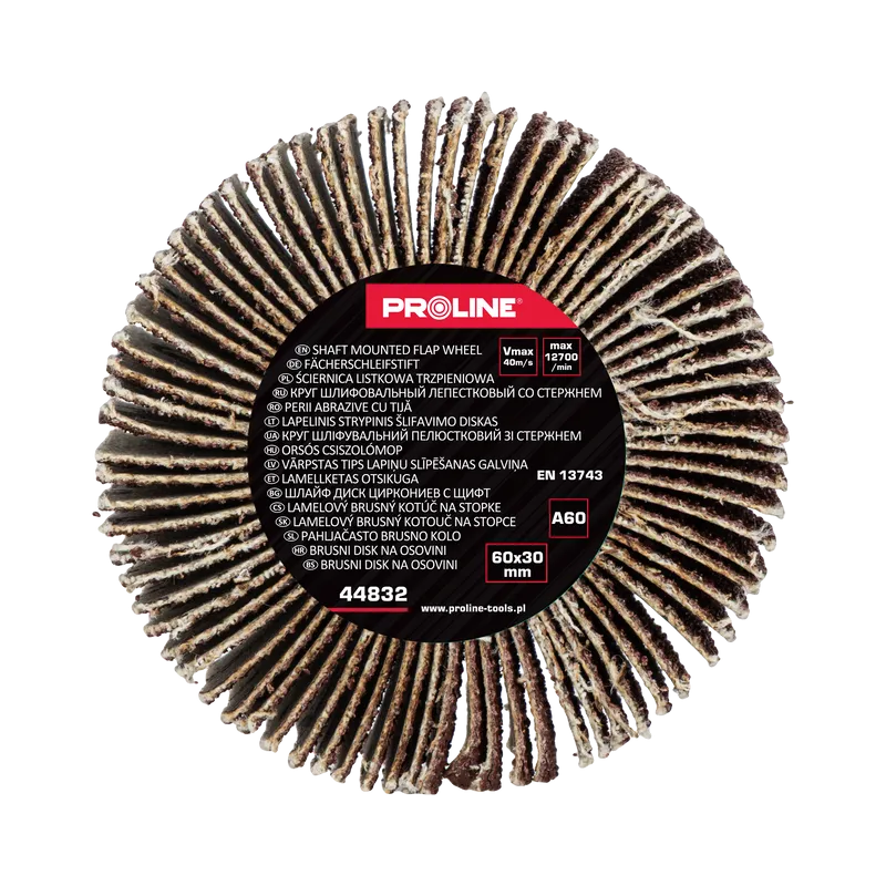 Perie Abraziva Lamelara 60X30MM - GR.60