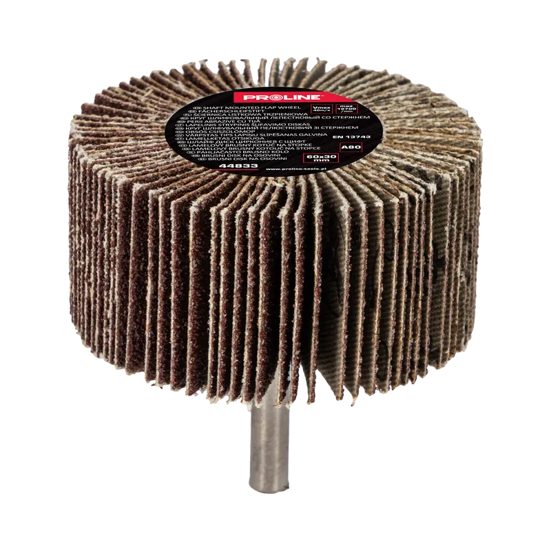 Perie Abraziva Lamelara 60X30MM - GR.80